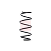 Apec Coil Spring ACS1763 thumbnail