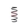 Apec Coil Spring ACS1775 thumbnail