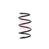 Apec Coil Spring ACS1779 thumbnail