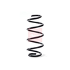 Apec Coil Spring ACS1831 thumbnail