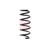 Apec Coil Spring ACS1832 thumbnail