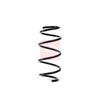Apec Coil Spring ACS1834 thumbnail