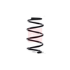 Apec Coil Spring ACS1843 thumbnail