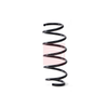 Apec Coil Spring ACS1851 thumbnail