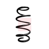 Apec Coil Spring ACS1899 thumbnail