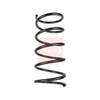 Apec Coil Spring ACS1930 thumbnail