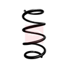 Apec Coil Spring ACS1967 thumbnail