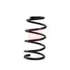 Apec Coil Spring ACS1983 thumbnail