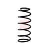 Apec Coil Spring ACS1984 thumbnail