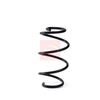 Apec Coil Spring ACS1979 thumbnail