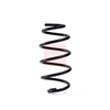 Apec Coil Spring ACS1988 thumbnail