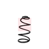 Apec Coil Spring ACS1990 thumbnail