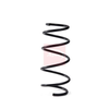 Apec Coil Spring ACS1996 thumbnail