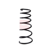 Apec Coil Spring ACS1997 thumbnail