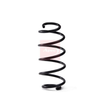 Apec Coil Spring ACS2002 thumbnail
