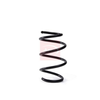 Apec Coil Spring ACS2009 thumbnail