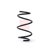 Apec Coil Spring ACS2011 thumbnail