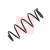 Apec Coil Spring ACS2029 thumbnail