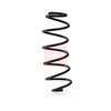Apec Coil Spring ACS2066 thumbnail