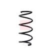 Apec Coil Spring ACS2080 thumbnail