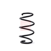 Apec Coil Spring ACS2116 thumbnail