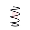 Apec Coil Spring ACS2117 thumbnail
