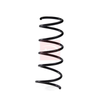 Apec Coil Spring ACS2119 thumbnail