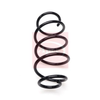 Apec Coil Spring ACS2136 thumbnail