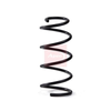 Apec Coil Spring ACS2154 thumbnail