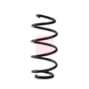 Apec Coil Spring ACS2172 thumbnail