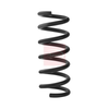 Apec Coil Spring ACS2171 thumbnail