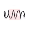 Apec Coil Spring ACS2192 thumbnail