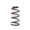Apec Coil Spring ACS2186 thumbnail