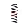 Apec Coil Spring ACS2251 thumbnail