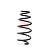 Apec Coil Spring ACS2255 thumbnail