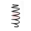 Apec Coil Spring ACS2338 thumbnail