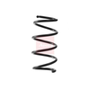 Apec Coil Spring ACS2406 thumbnail