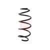 Apec Coil Spring ACS2407 thumbnail