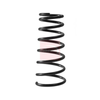 Apec Coil Spring ACS2411 thumbnail