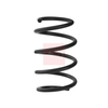 Apec Coil Spring ACS2439 thumbnail