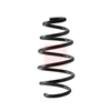 Apec Coil Spring ACS2422 thumbnail