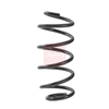 Apec Coil Spring ACS2494 thumbnail