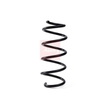 Apec Coil Spring ACS1989 thumbnail