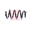 Apec Coil Spring ACS2339 thumbnail