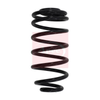 Apec Coil Spring ACS1028 thumbnail
