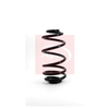 Apec Coil Spring ACS1036 thumbnail