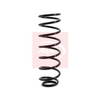 Apec Coil Spring ACS1048 thumbnail