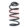Apec Coil Spring ACS1055 thumbnail