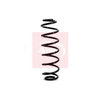 Apec Coil Spring ACS1116 thumbnail