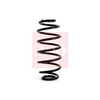 Apec Coil Spring ACS1118 thumbnail